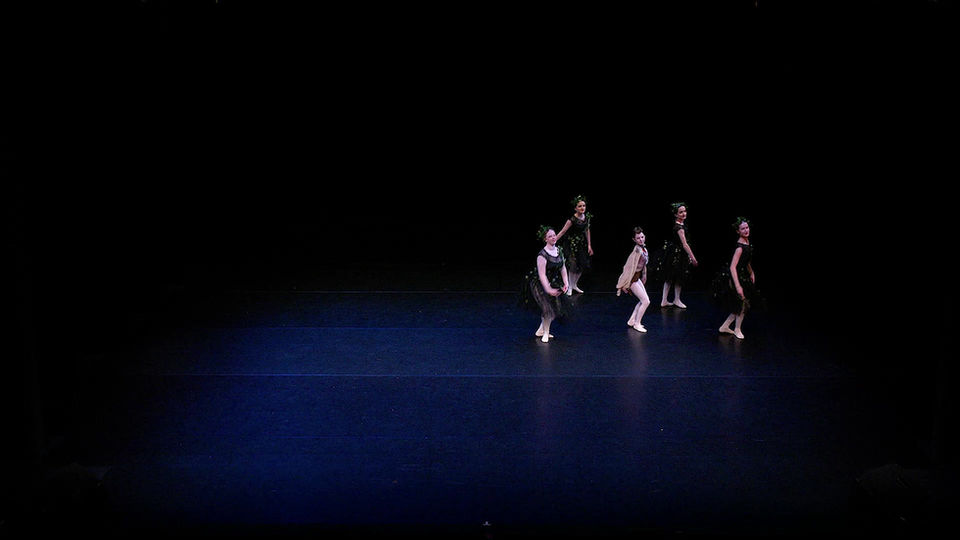 Ballet Classical Large Groups Inter - Centre Arts